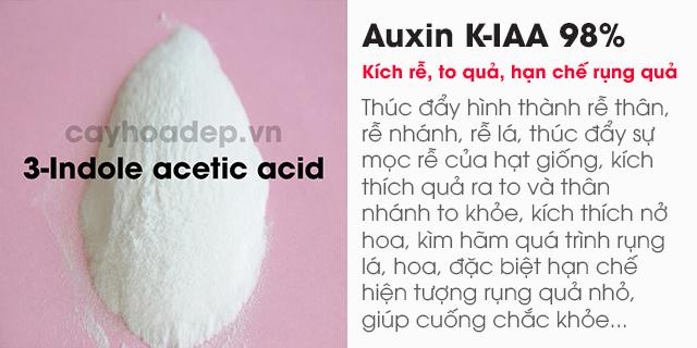 Auxin K-IAA 98% (Potassium 3-Indole acetic acid) tan trong nước